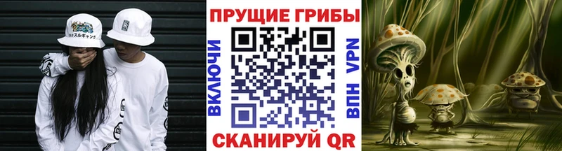 Псилоцибиновые грибы мухоморы Бор